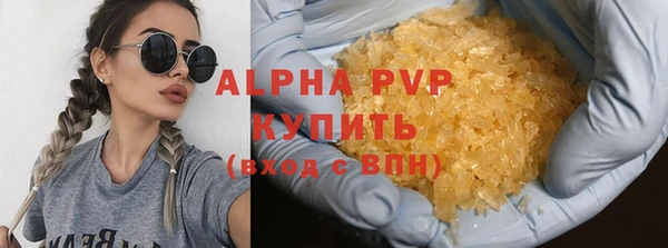 ПСИЛОЦИБИНОВЫЕ ГРИБЫ Инта